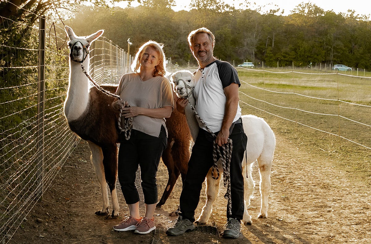 Alpaka und Lama Wanderung Mödling