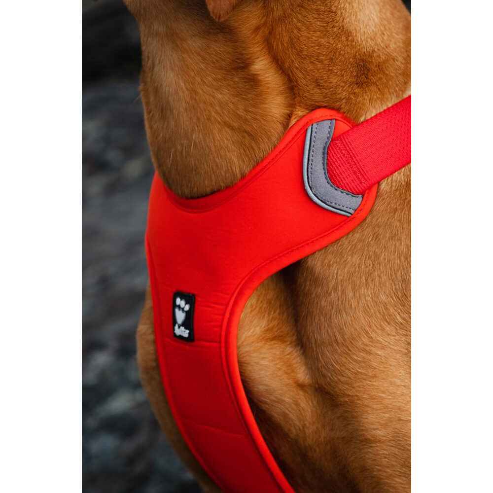 Hurtta Weekend Warrior Eco Harness