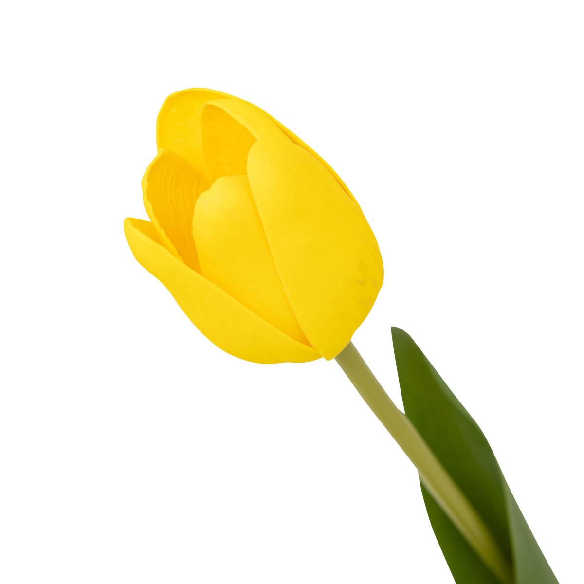 TIGE TULIPE MARTINE H.48CM