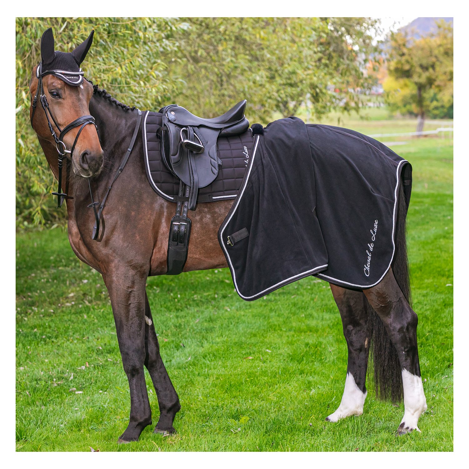 Cheval de Luxe Abschwitzdecke  - black/silver