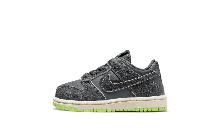 Nike Dunk Low Swoosh Shadow Iron Grey Bébé (TD)