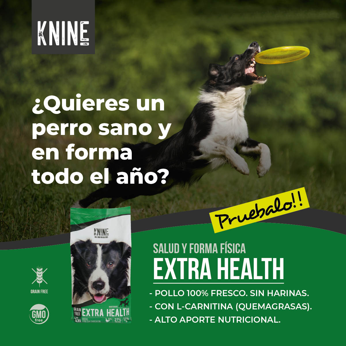 Ração para cães KNINE Extra Health, frango, sem grãos, 12 kg.