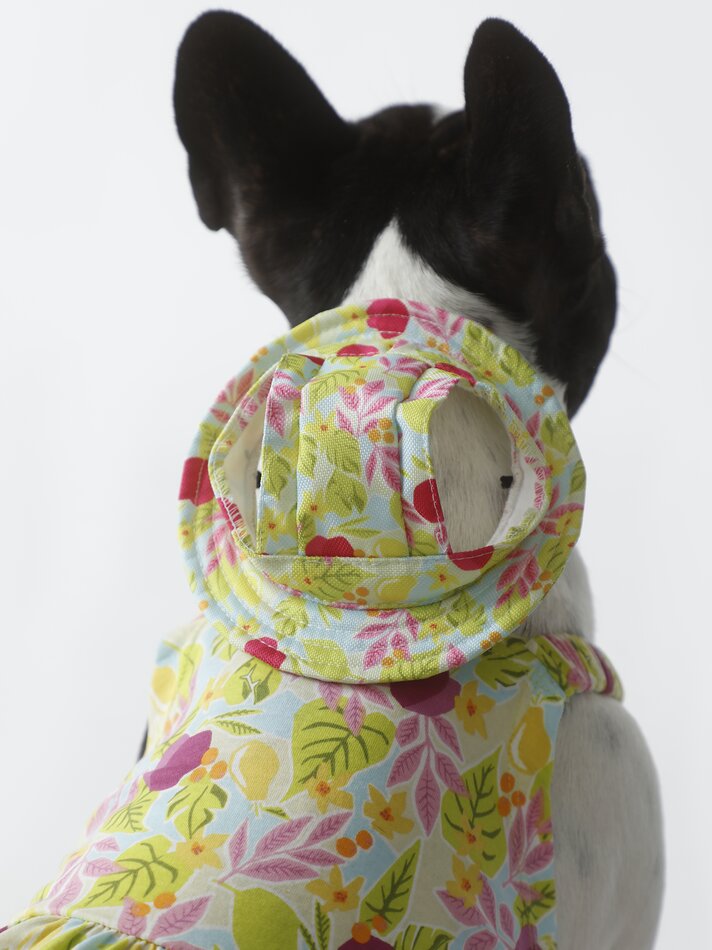 Chapéu estampado para animais de estimação - Verde