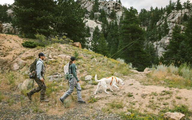 Ruffwear Front Range gepolstertes Hundegeschirr