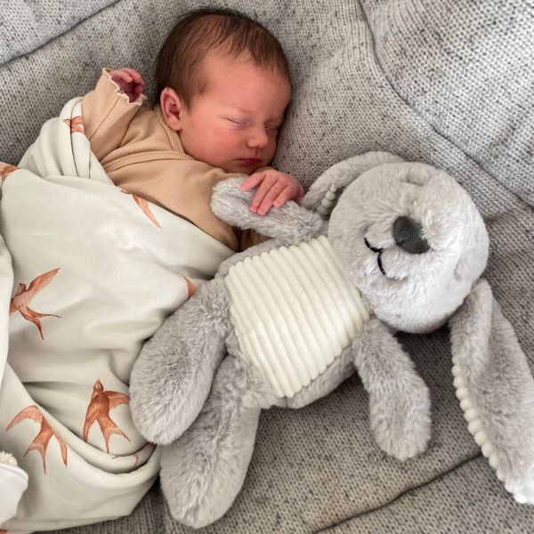 Flow Amsterdam Milo The Rabbit Hartslagknuffel