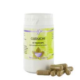 Holisan Guduchi 60cap