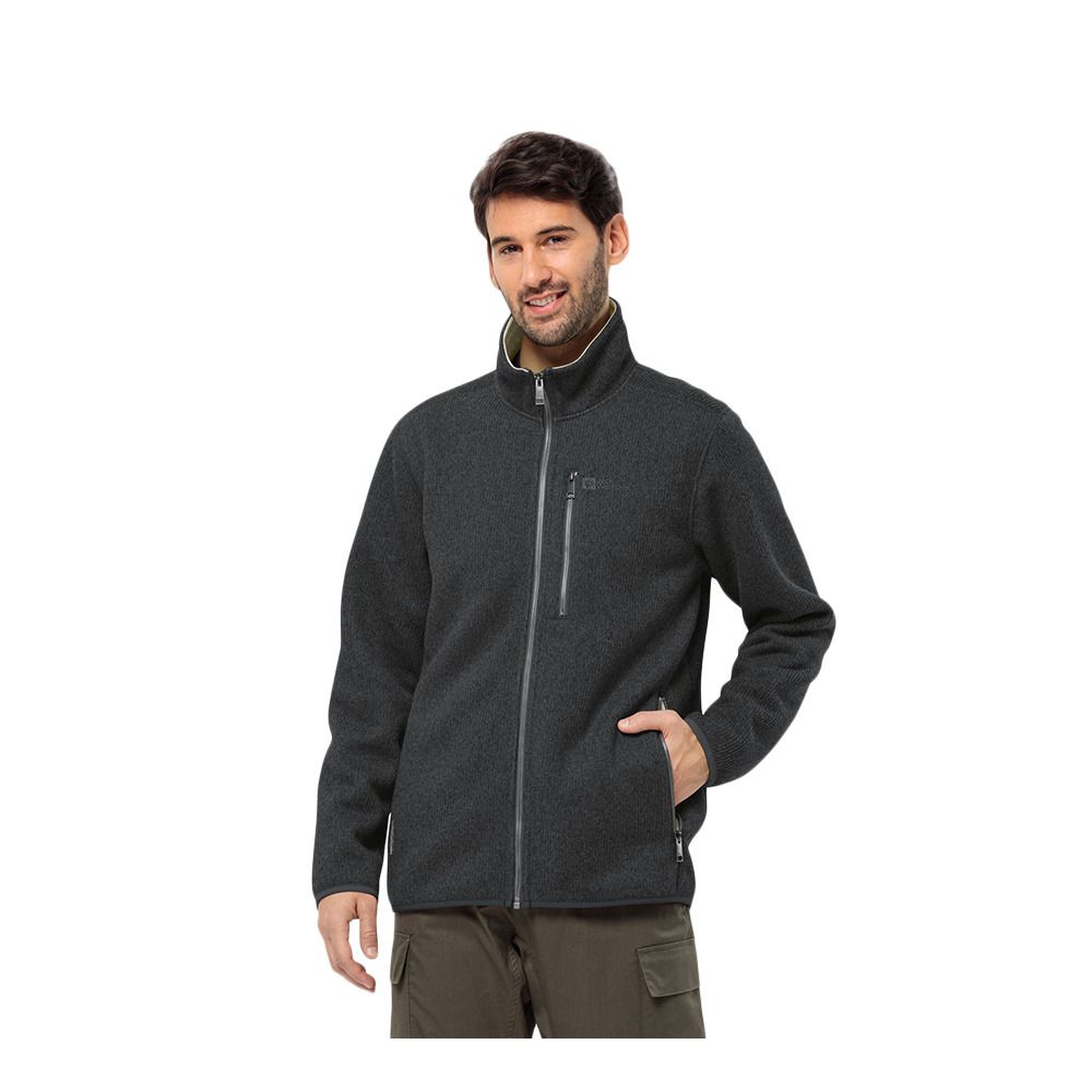Jack Wolfskin ROBSON FJORD - Polaire Homme phantom