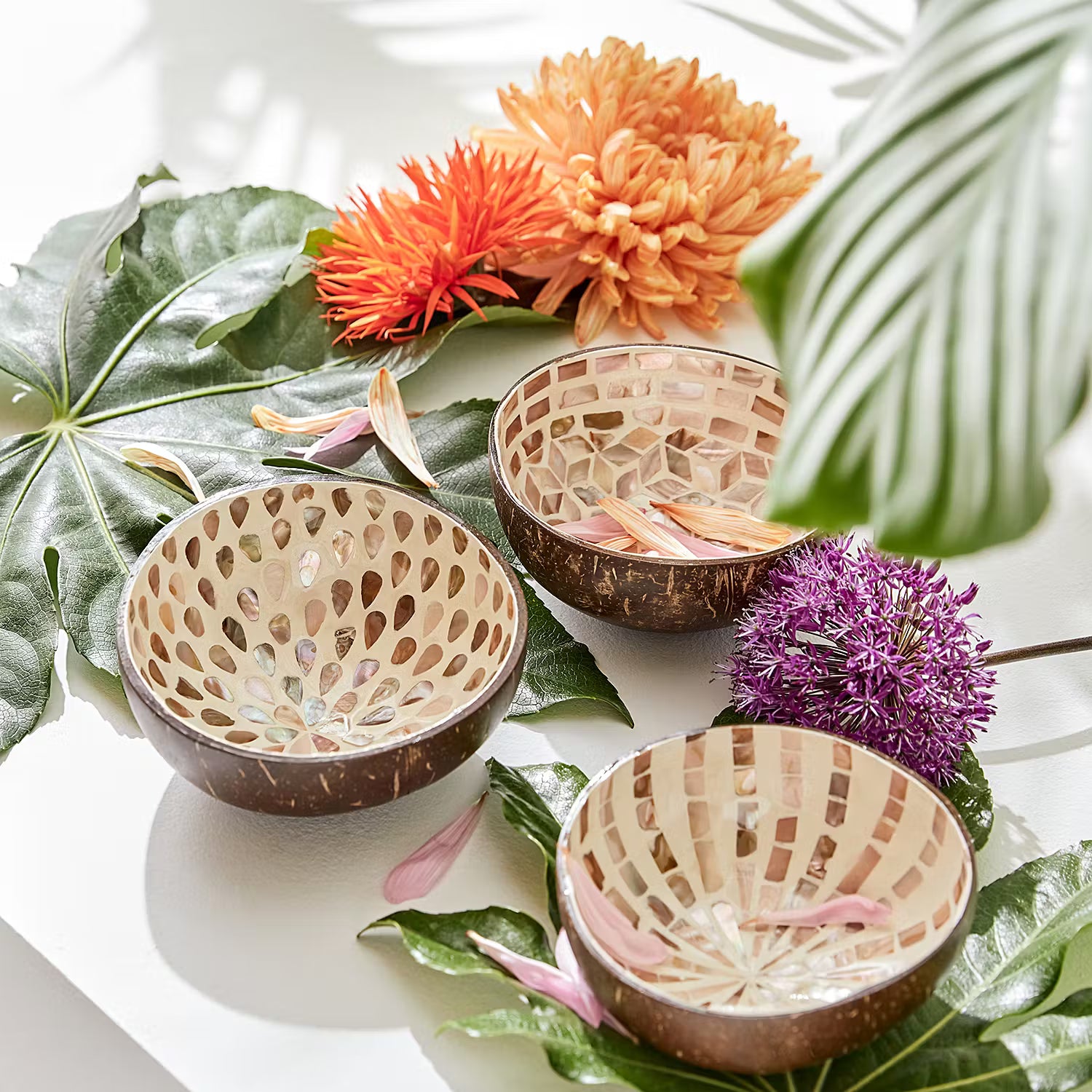 COCONUT Kokosnussschale 6er-Set