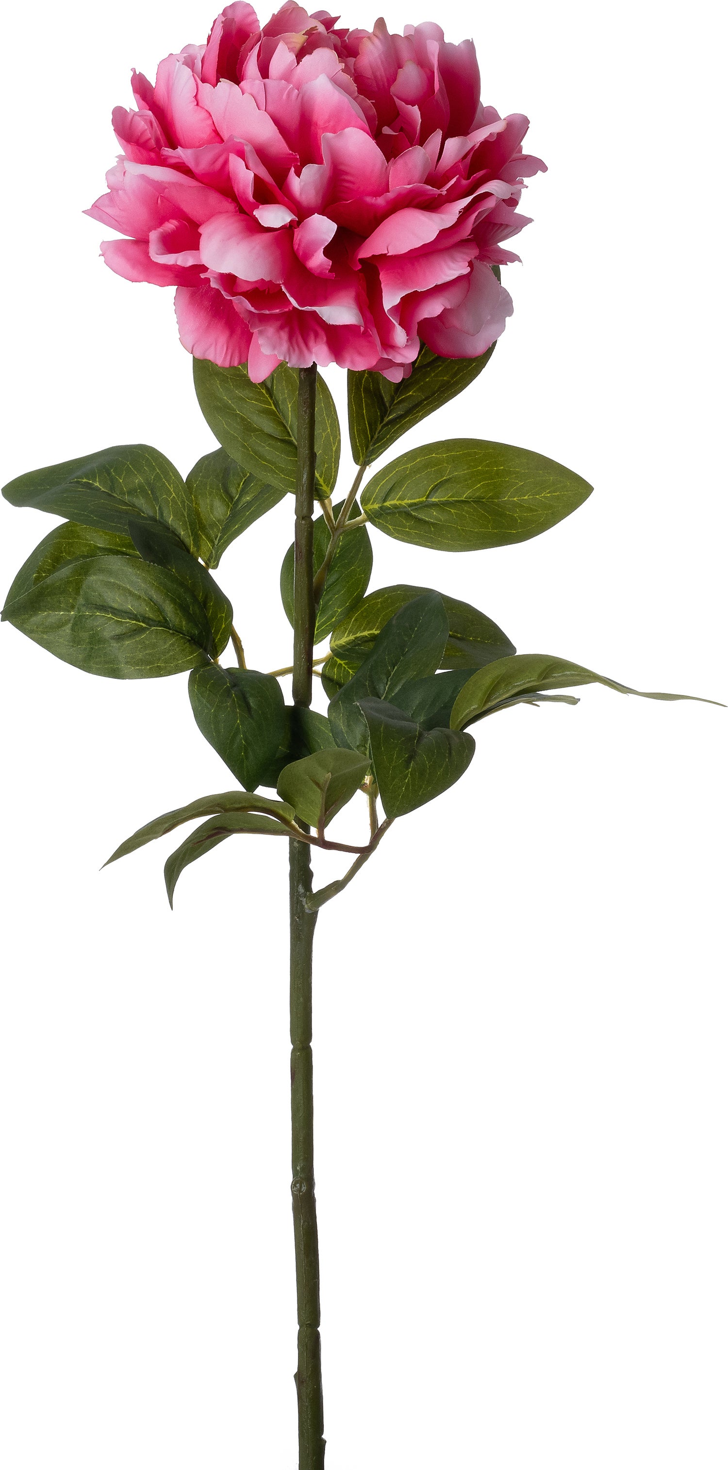 Intratuin kunstbloem Pioen rood 72 cm