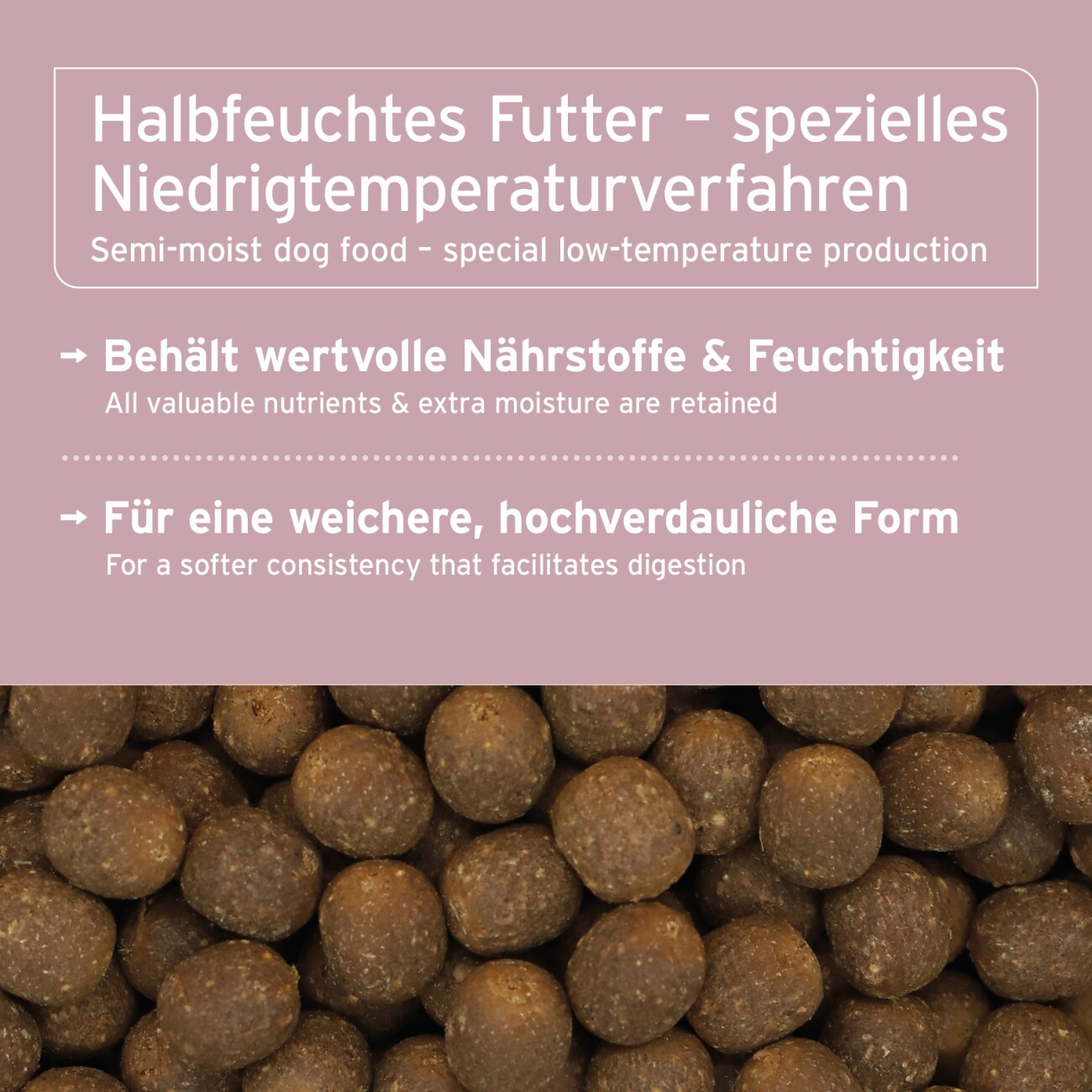 AniForte Trockenfutter FjordSalmon - frischer Lachs mit Kartoffeln 2 kg