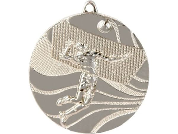 Victoria Sport Medal silver - volleyball
