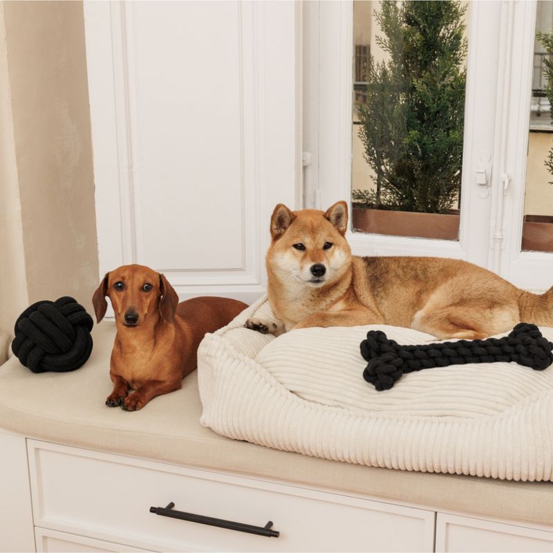 Jouet Os en corde Modern Living Papua pour chien
