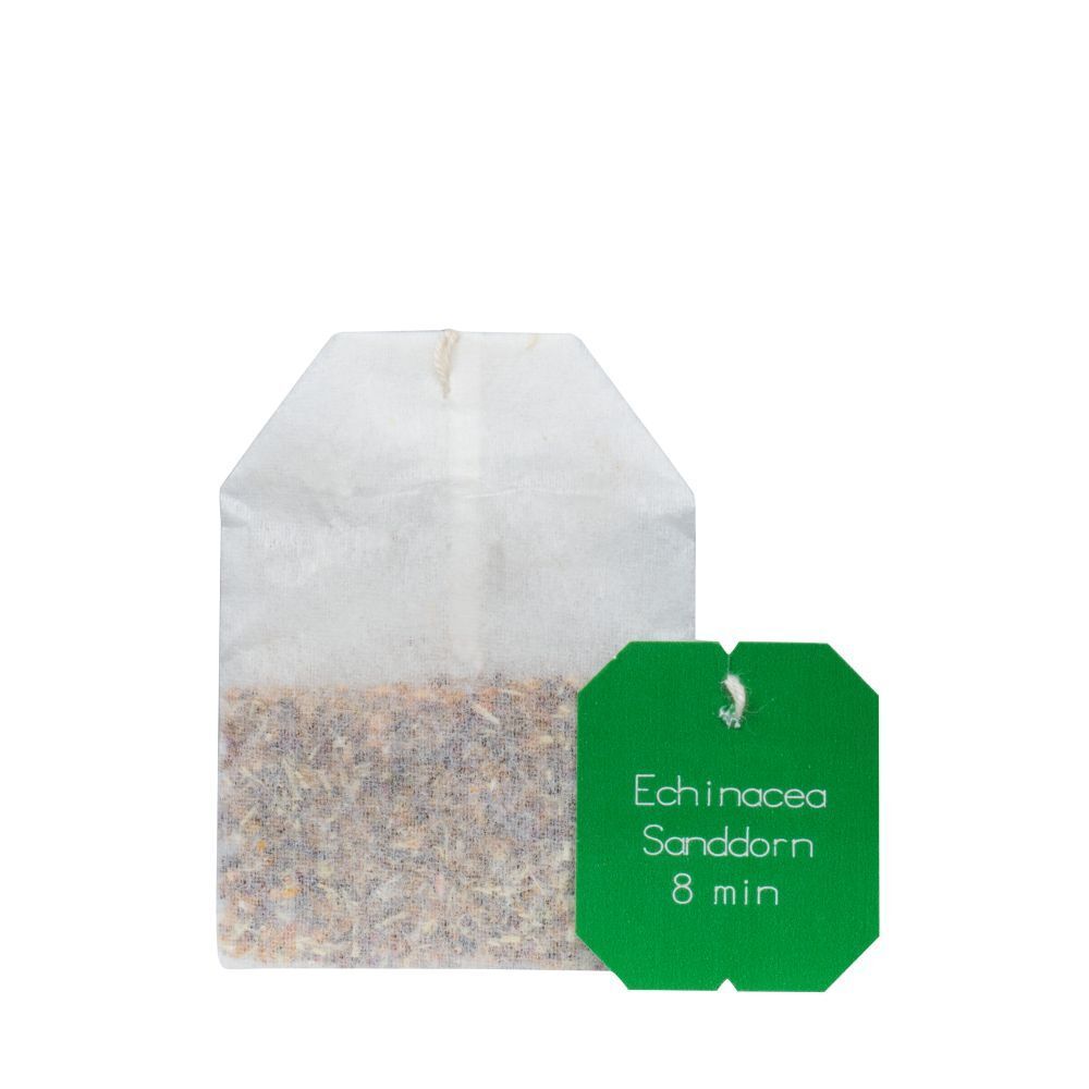 Salus® Kraft der Natur Echinacea Sanddorn, Kräuter-Früchtetee