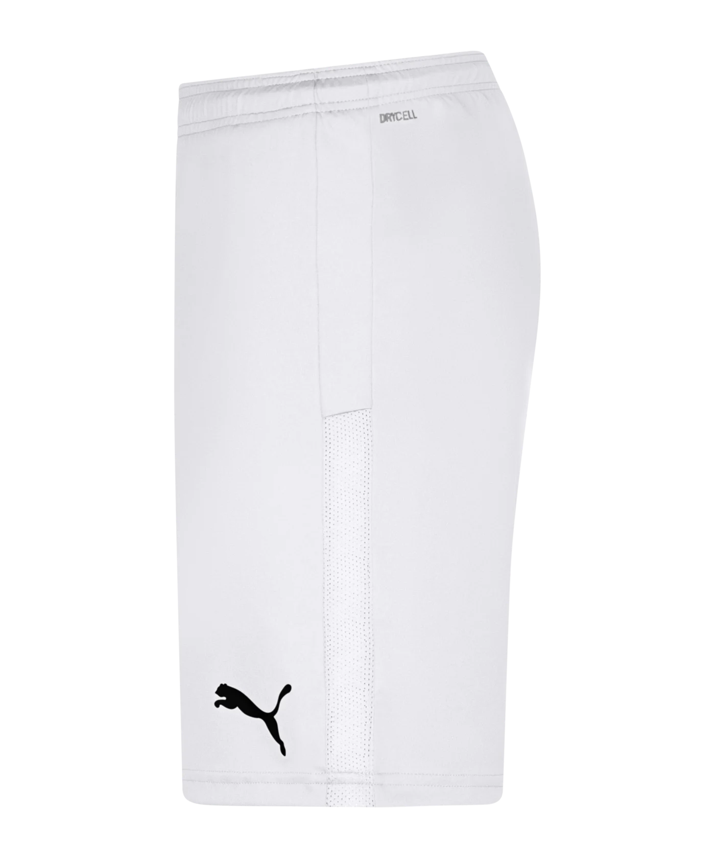 PUMA teamGOAL 23 Knit Short Weiss F04