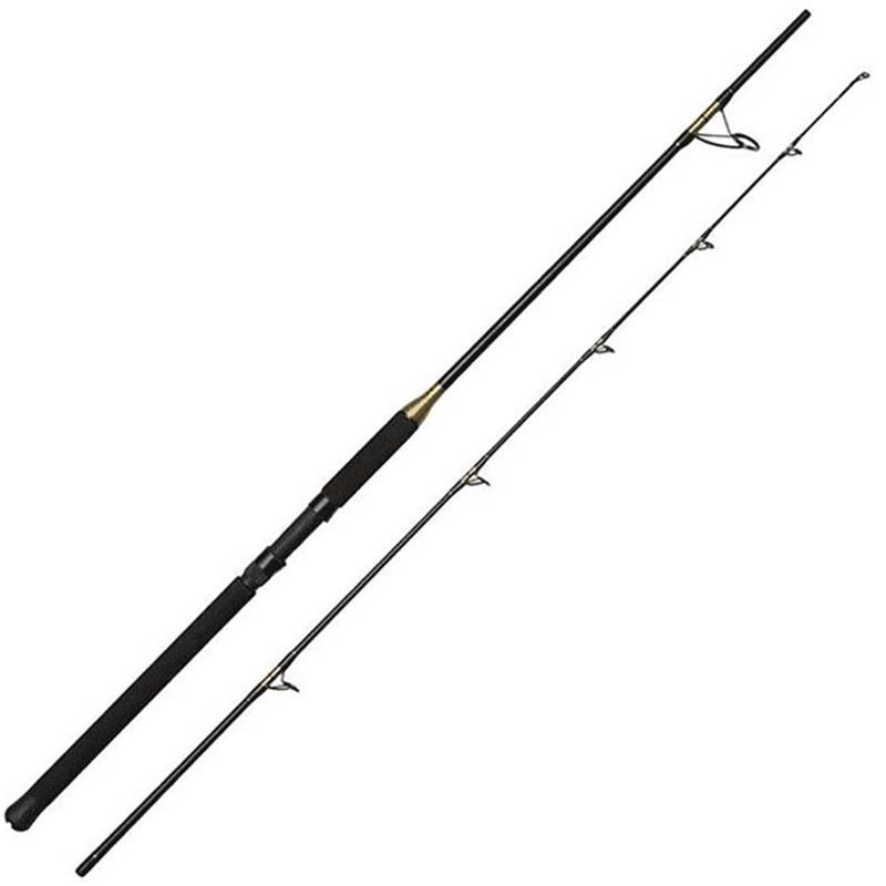 Canne Mer Kinetic Brutalis Fs