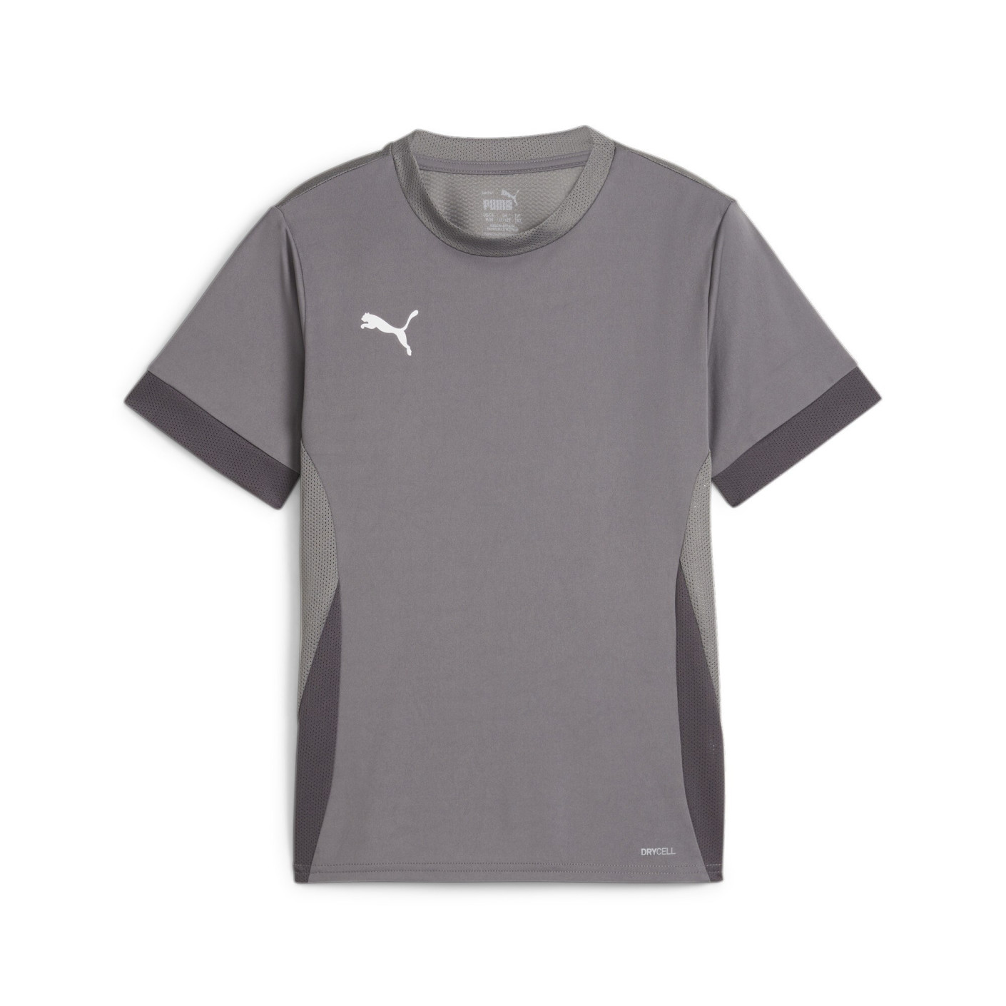 PUMA teamGOAL Matchday Voetbaltenue Kids Grijs Wit
