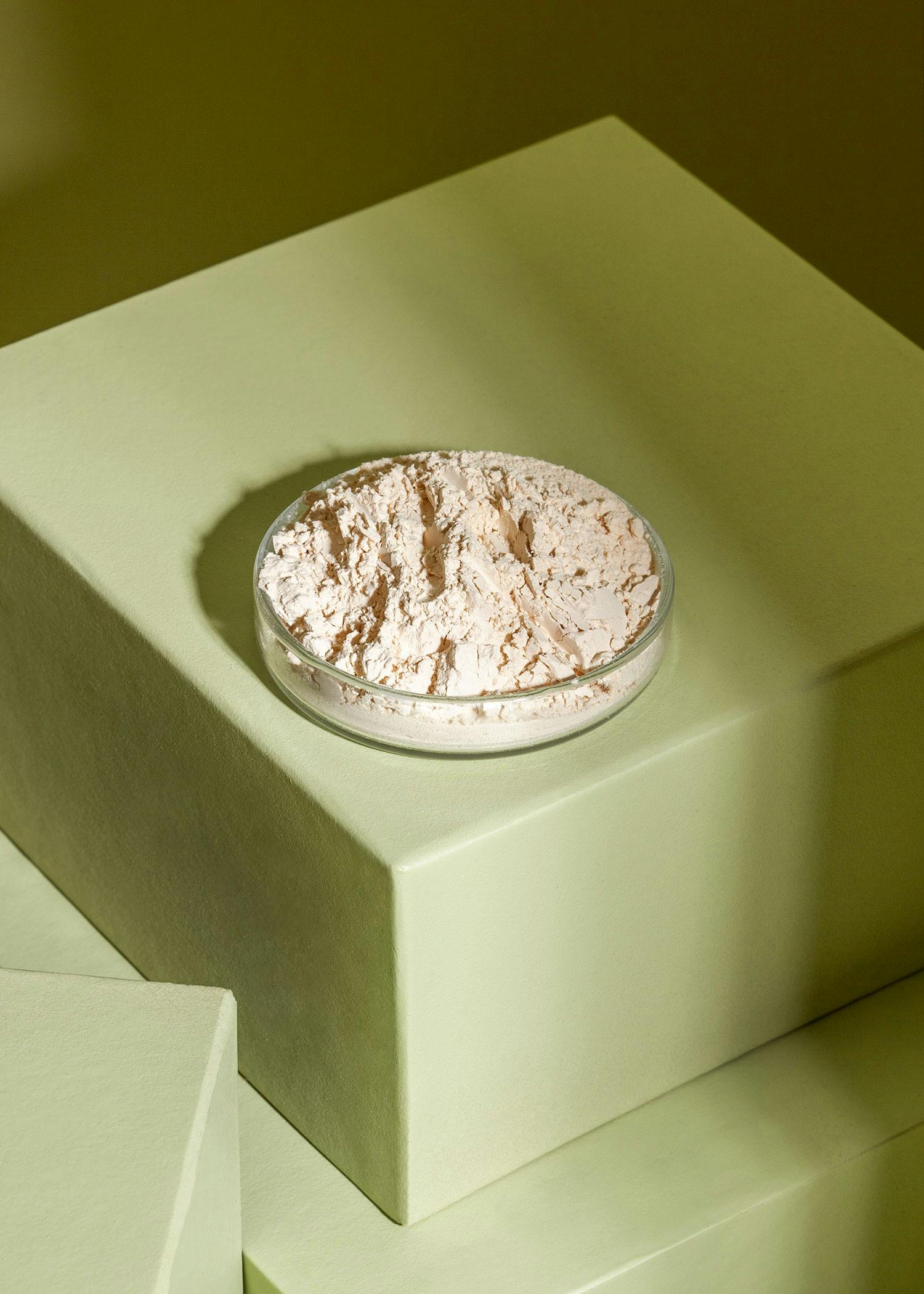 Bio Reisprotein 500 g