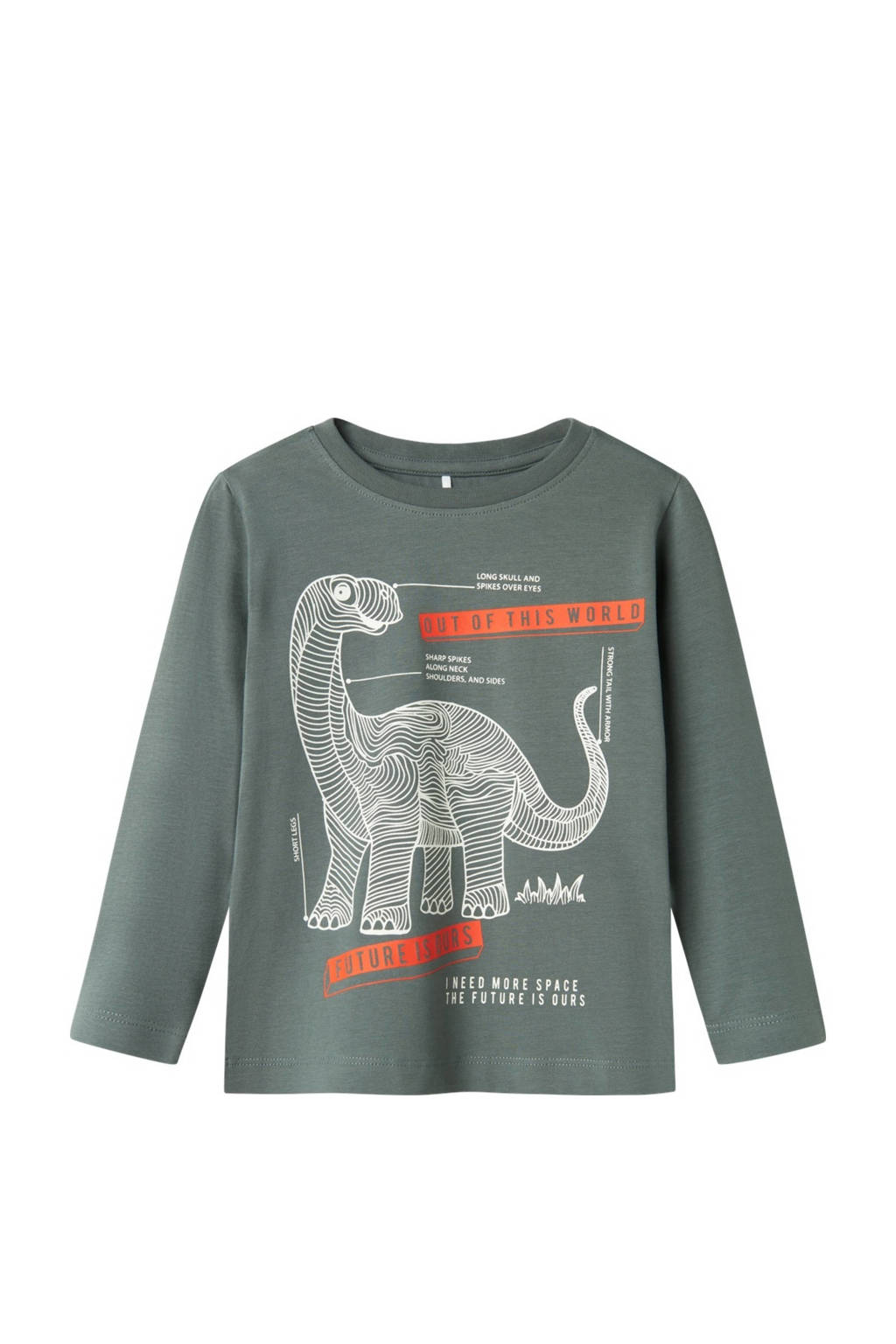 NAME IT longsleeve NMMPNADER met printopdruk groengrijs