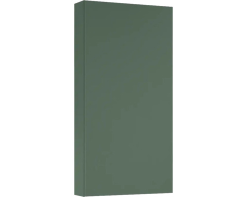 Jungborn wandkast BxHxD 400 x 800 mm x 126 mm Frontkleur: mat bosgroen