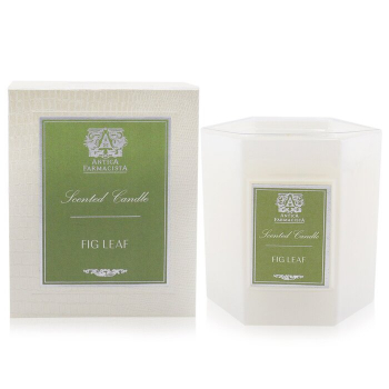 Antica Farmacista Candle - Fig Leaf  255g/9oz