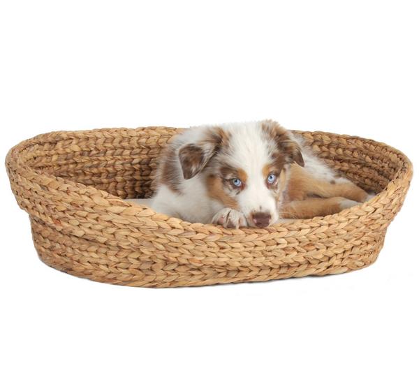 Silvio Design Kuschelbett Wasserhyazinthe,