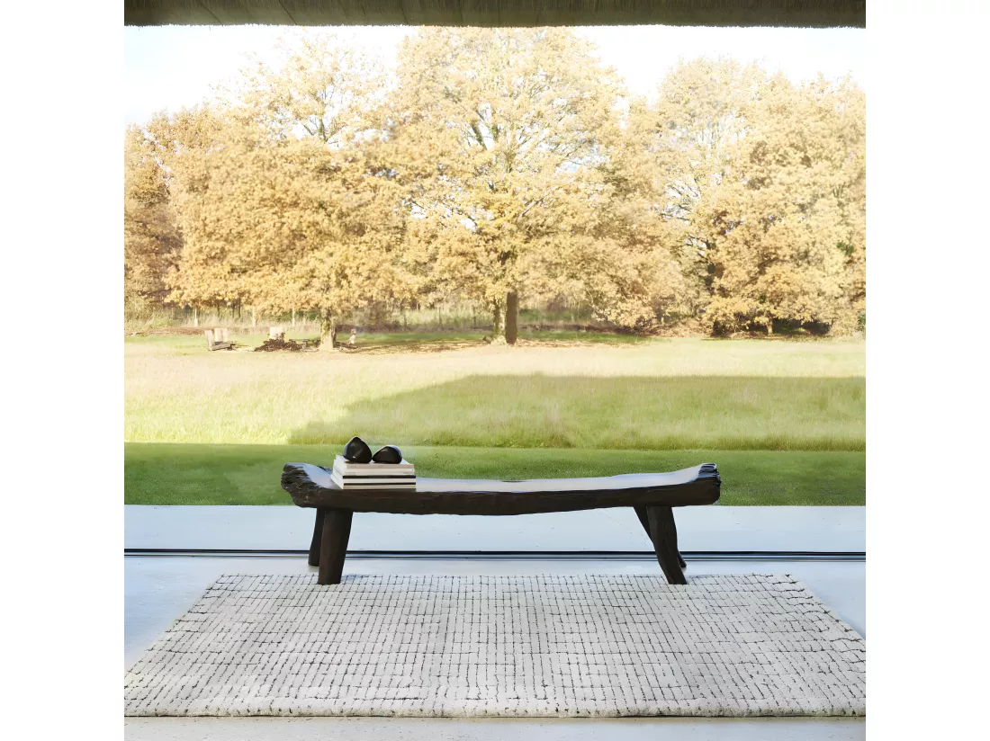 Adélaïde I - Tapis contemporain - Écru - 160x230cm