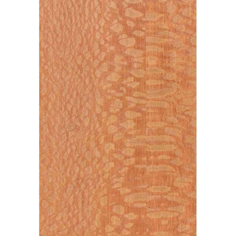 Bulldog Music Gear Wall Dragon Lacewood gitaar muurbeugel