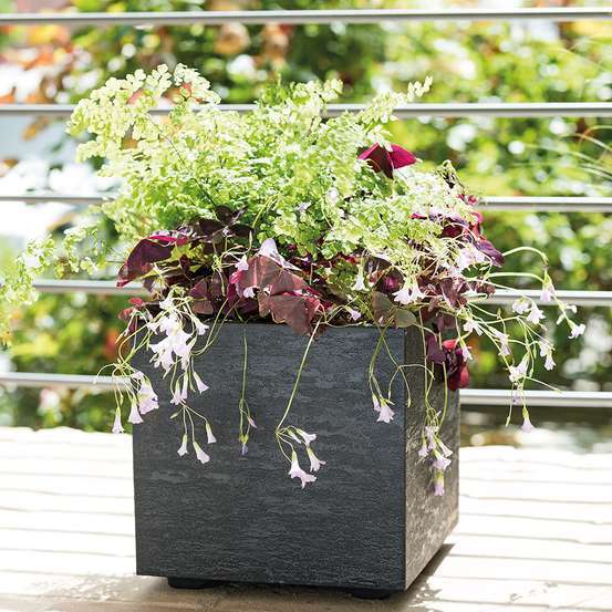 Pot cube Gravity à réserve d'eau plastique coloris Carbone 25xH.25cm
