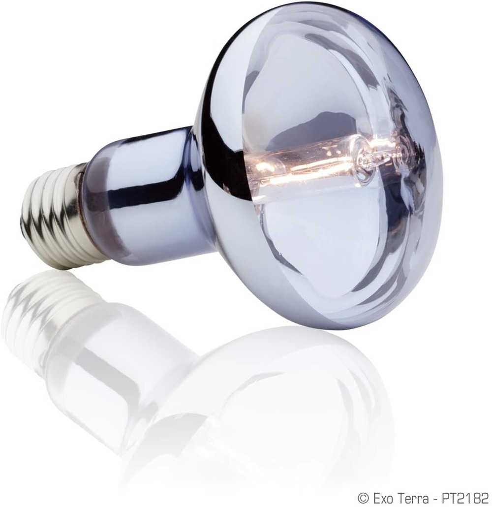 Lampe halogen basking spot 100w reptiles