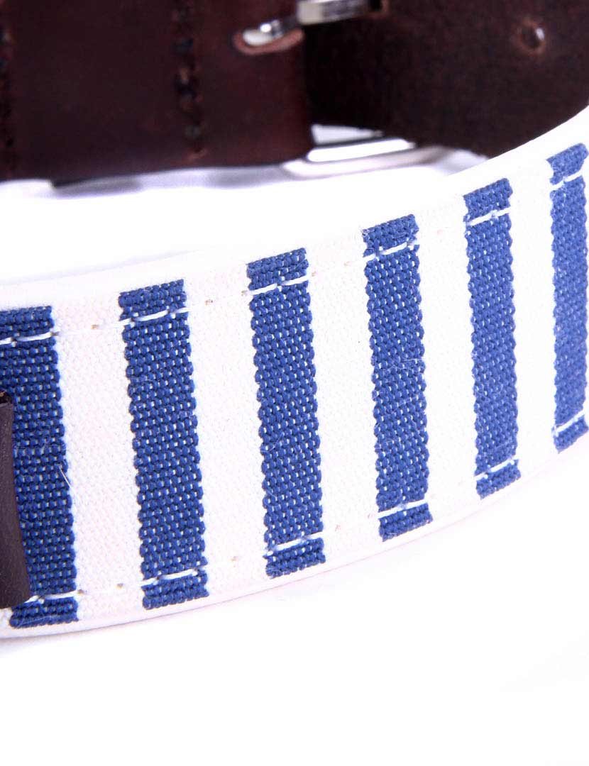 Blue and White Striped Collar