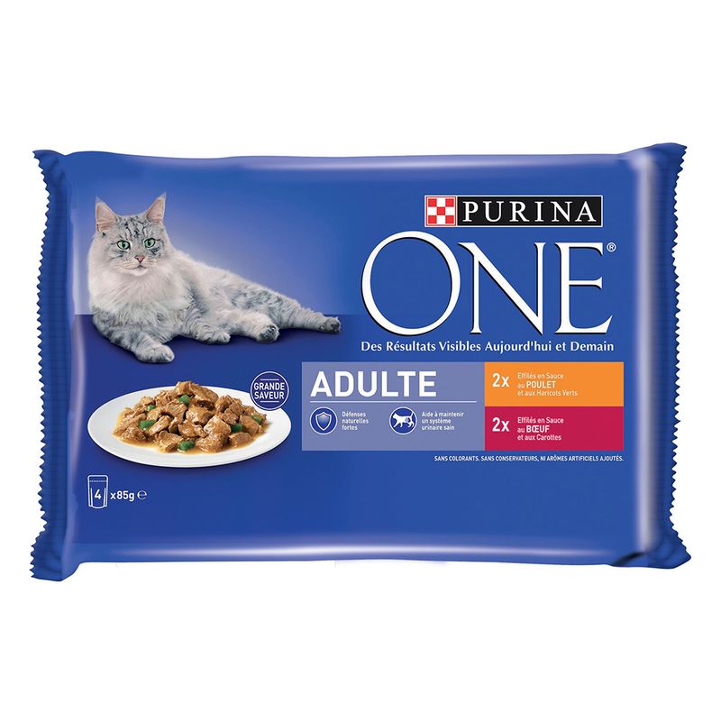 Lot mixte PURINA ONE 8 x 85 g