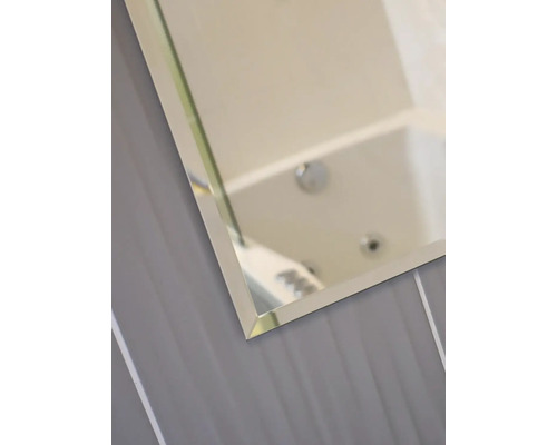 Kristallen spiegel 60 x 40 cm met afgeschuinde rand