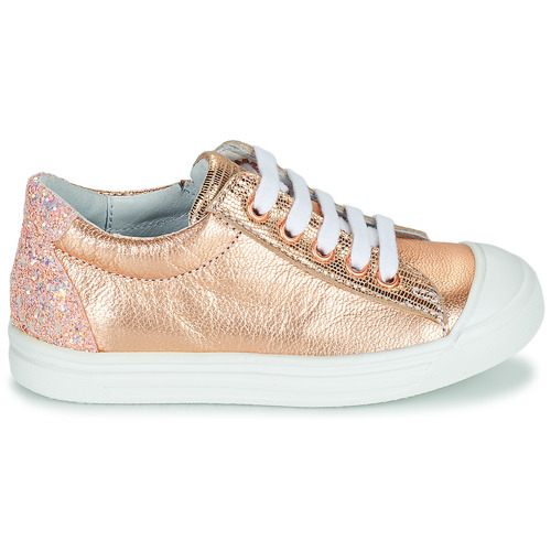 GBB - MATIA - Rose