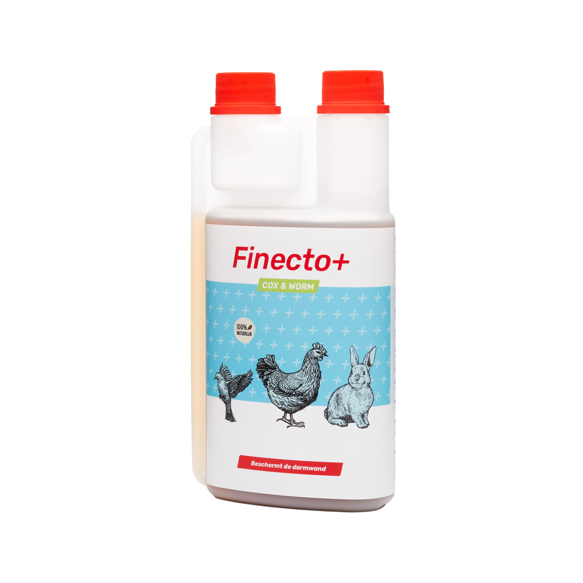 Finecto+ Cox & Worm
