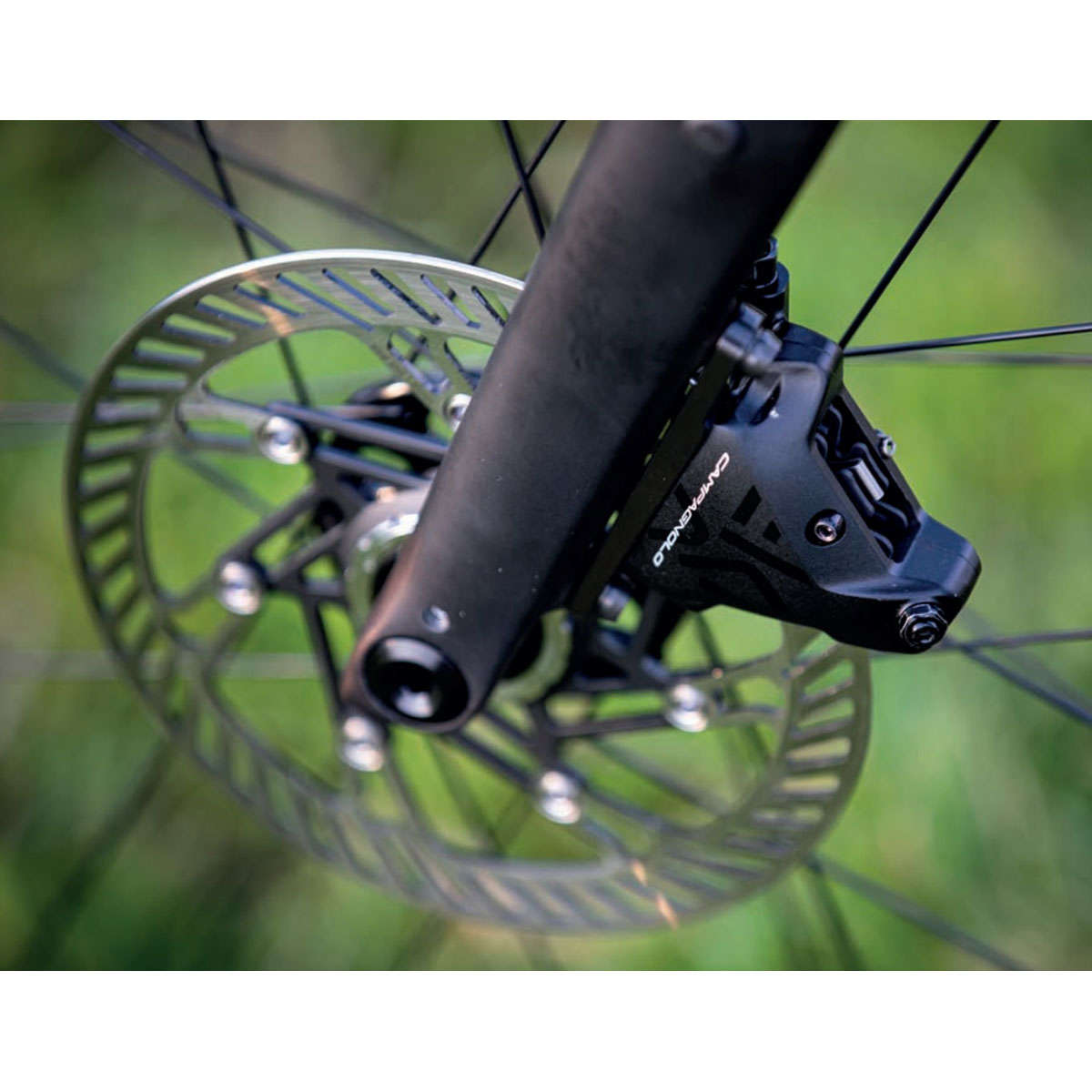 Campagnolo EKAR  Disc Rotor Staal Remschijf AFS Centerlock