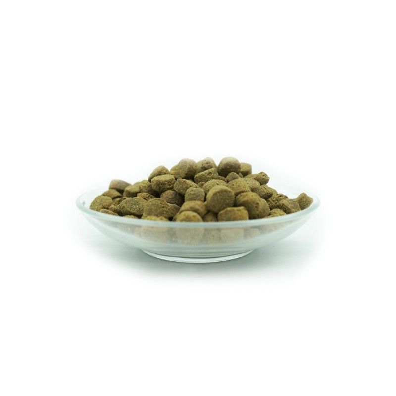 Bellfor Französische Bulldogge Futter Set für Hunde