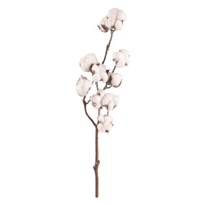 Baumwollzweig - ca. 50 cm