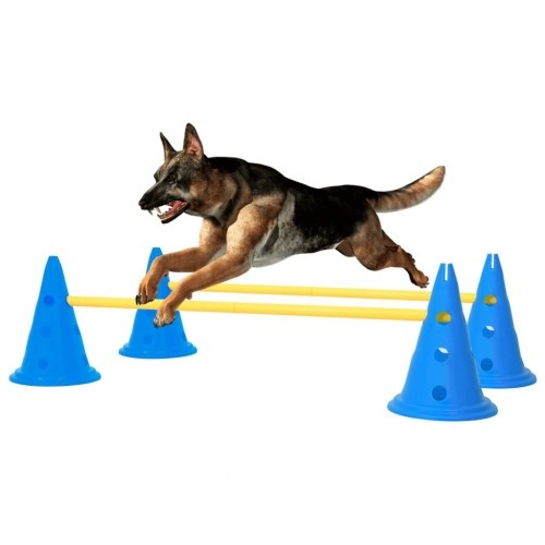 Obstáculo de atividade azul Vidaxl para cães