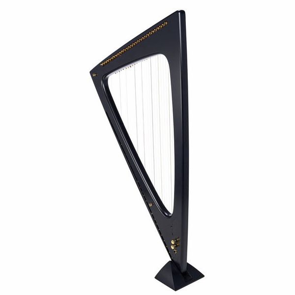 Salvi Delta Electric Harp