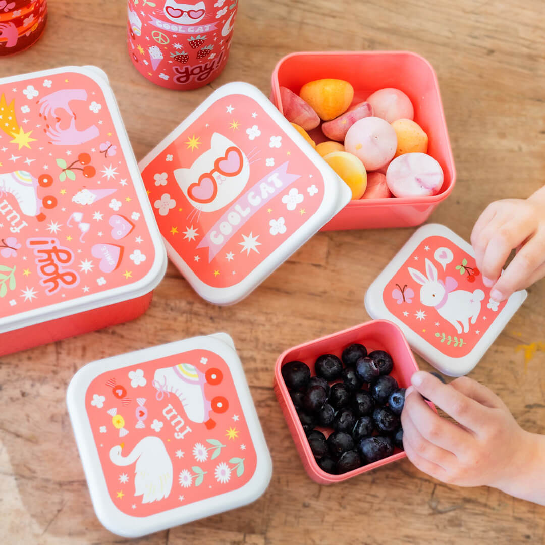 A little lovely company lunchbox set - fun