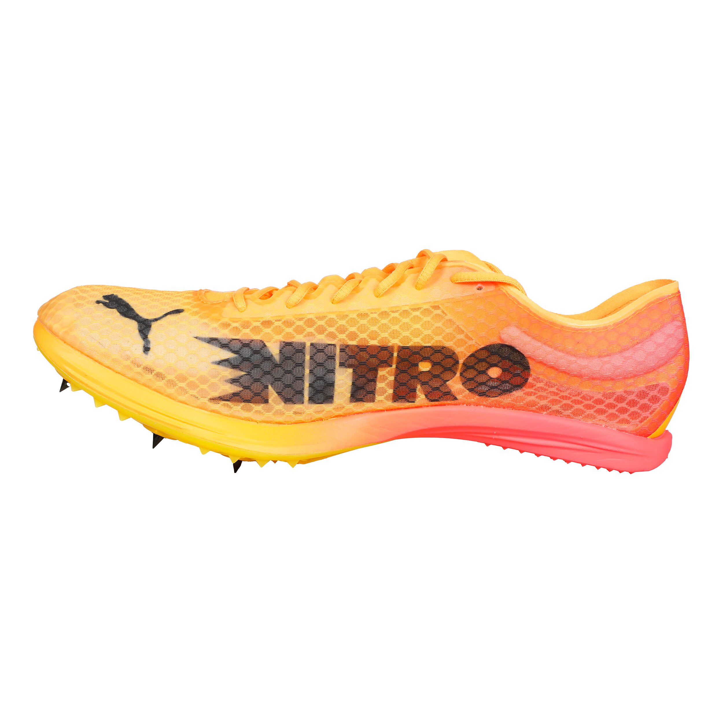 Puma EvoSPEED Distance Nitro Elite+ 4 Spikes - Orange , Noir