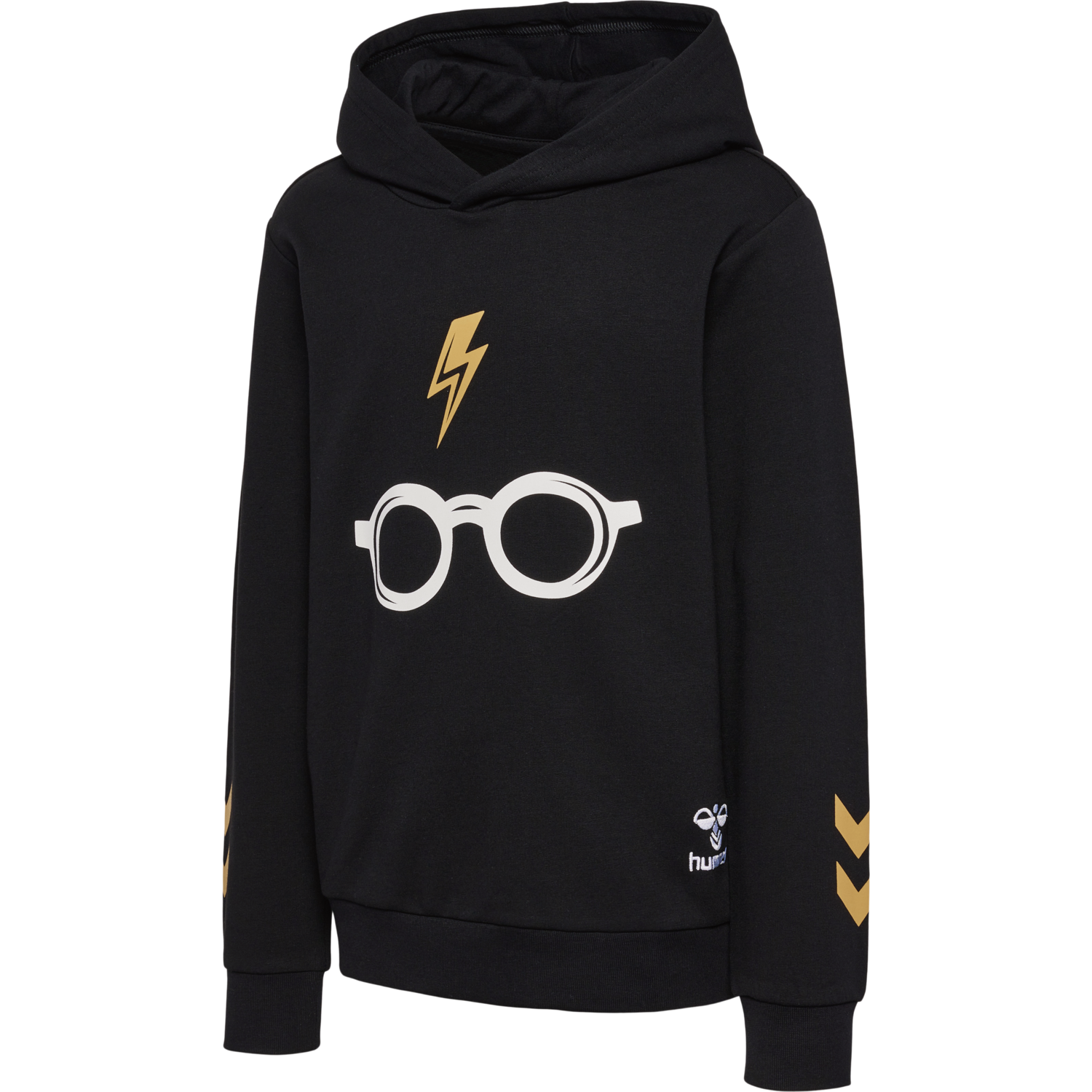 hmlHARRY POTTER HOODIE