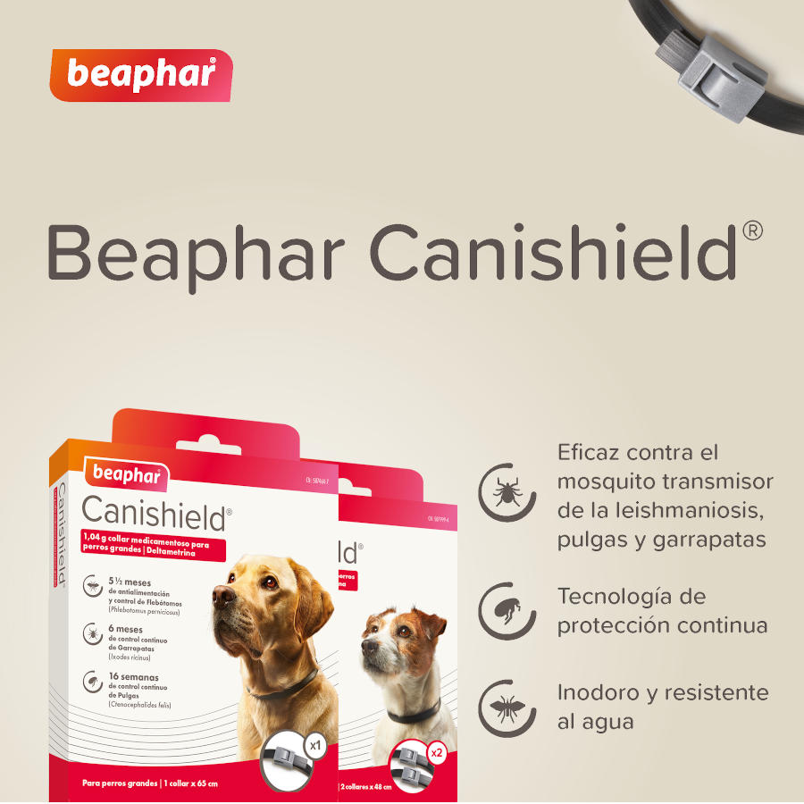 Coleira antipulgas e carrapatos Beaphar Canishield para cães de pequeno e médio porte.