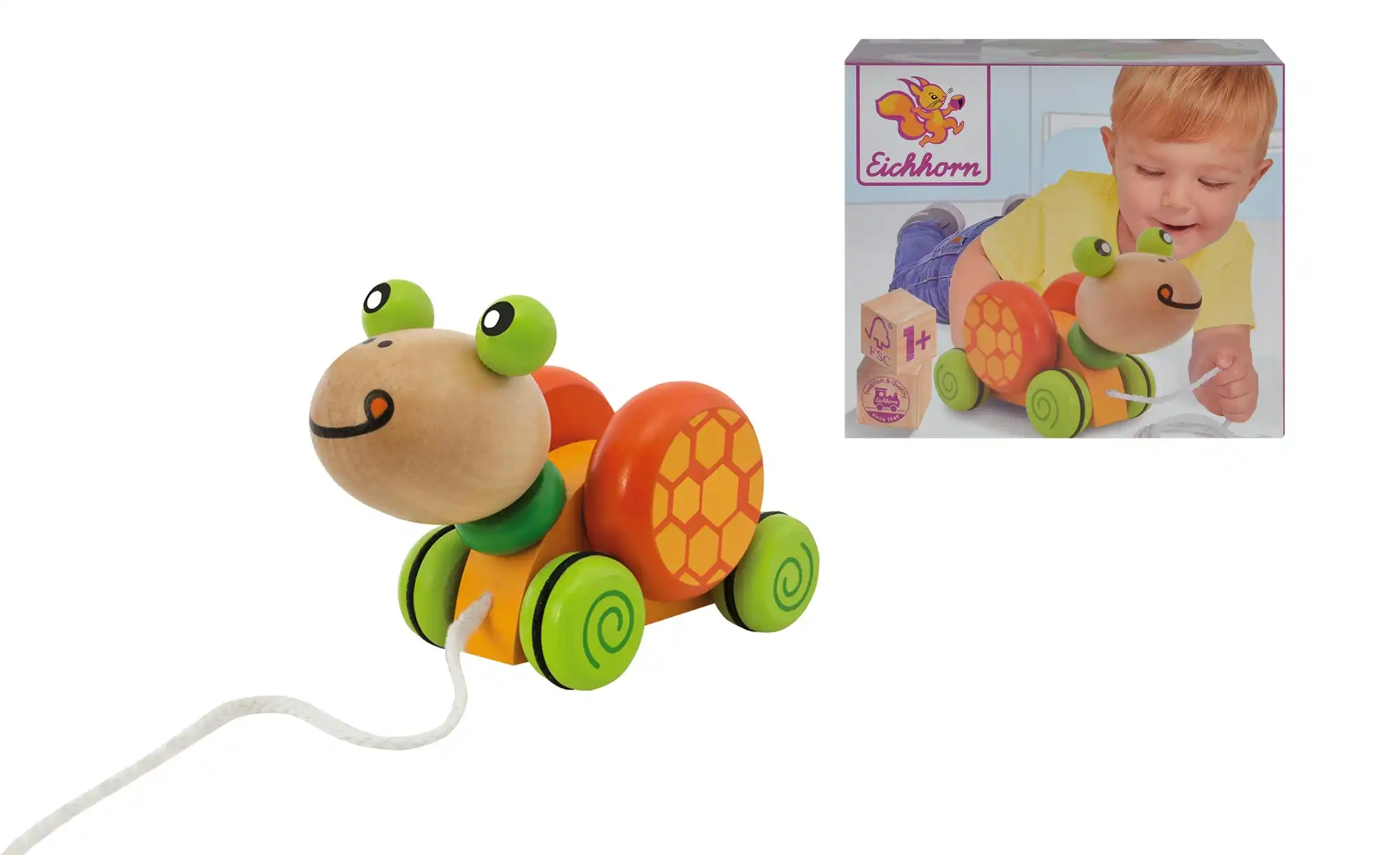 Eichhorn Nachzieh-Schildkröte