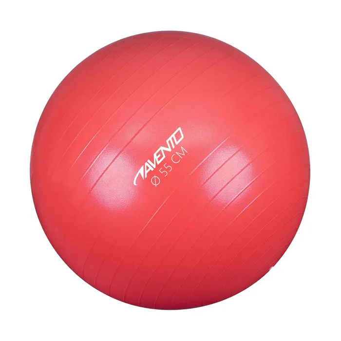 Avento Fitness Ball Ø 55
