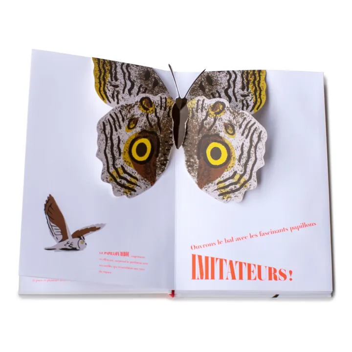 Helium Livre Papillons Illusions - B. Duisit & J. Brouant
