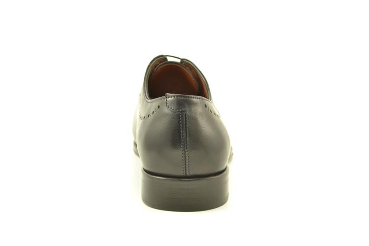 Flecs T688 D'BLAUW [50]