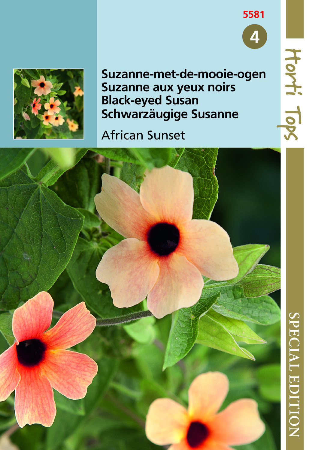 Hortitops Suzanne-met-de-mooie-ogen mix Thunbergia alata  - Bloemzaden