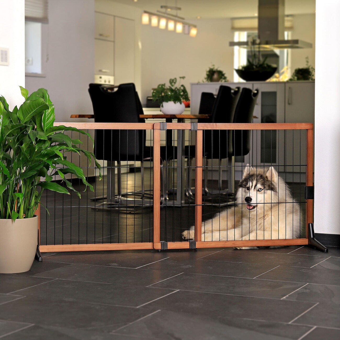 Lionto Absperrgitter EasyGate