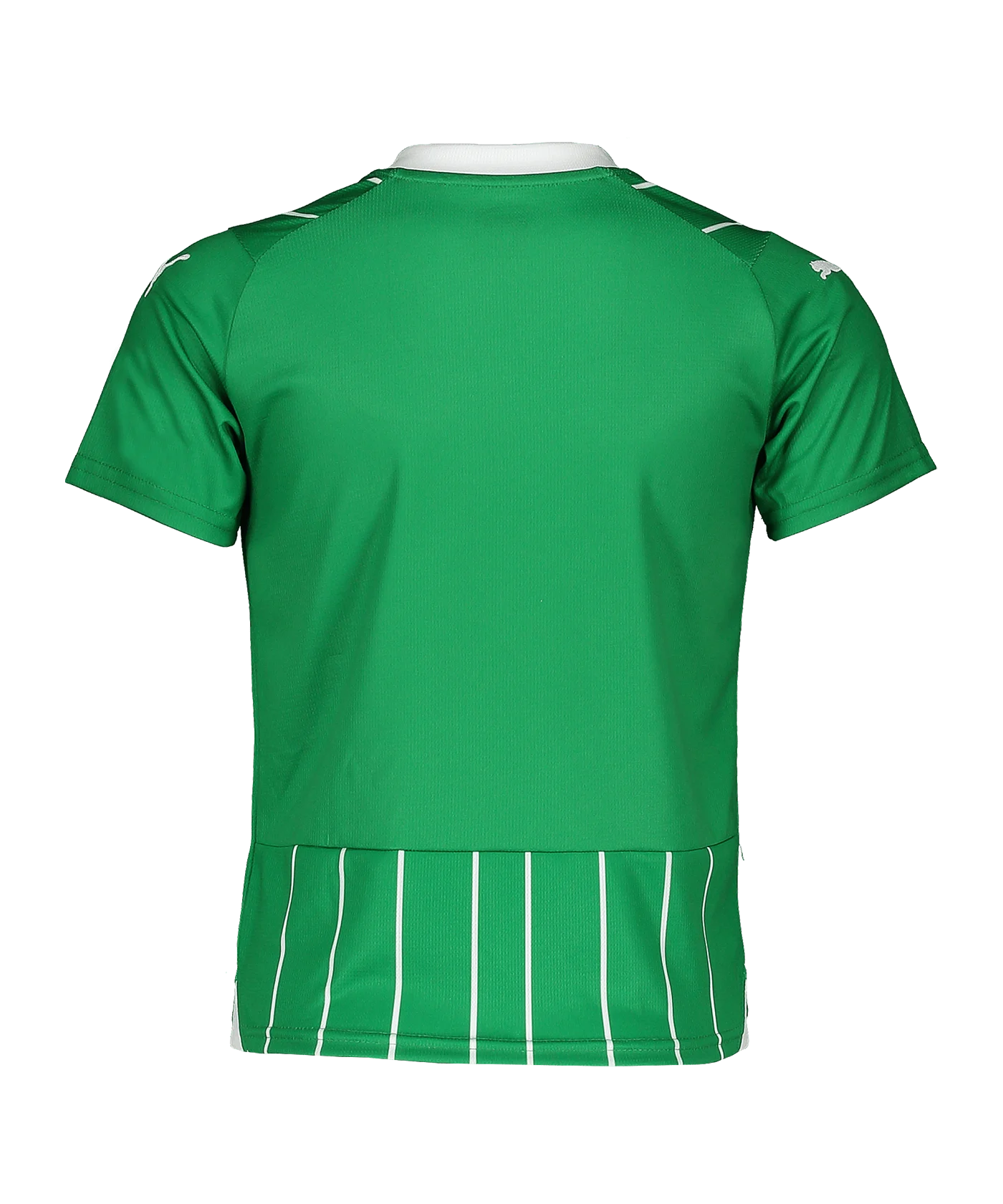 PUMA Trikot Kids Grün F01